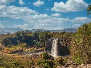 Botswana Green Season Safari