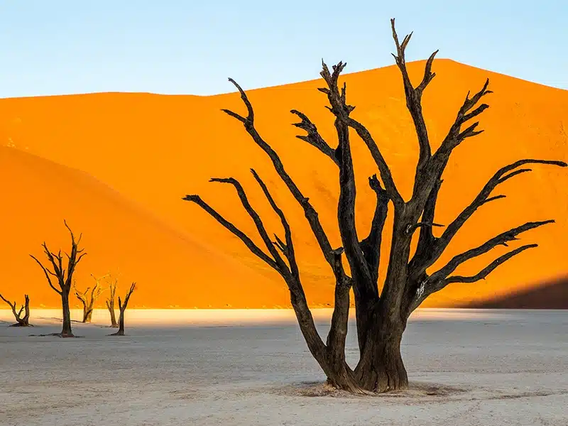 Sossusvlei & Deadvlei