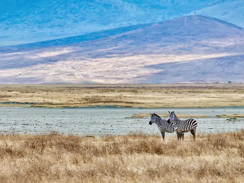 The Masai Mara National Reserve