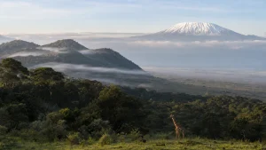 Green Chyulu Hills with Mount Kilimanjaro visible on the horizon